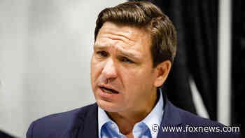 Why DeSantis' bold critical race theory move matters to all of us