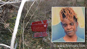 Virginia's 'Shopping Cart Killer' in custody after 4 bodies discovered