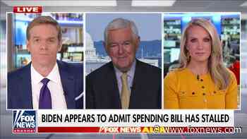 Gingrich shreds Biden's 'Cripple America Faster' bill, says it won't pass