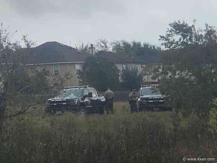 Alligators involved in reported dog attack in Del Valle to be relocated