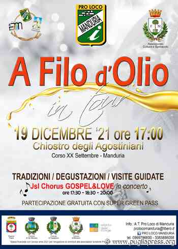 Manduria: Domenica «A Filo d'Olio» evento organizzato da Pro Loco e Comune - Puglia Press