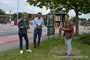 Bewoners Zonnehoeve en beroepsleerlingen plaatsen beschilderde boekenkasten (Nazareth) - Het Nieuwsblad