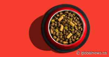 SaskSPCA hosts day of awareness for emergency pet food bank