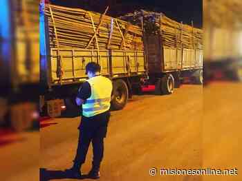 Misiones | Guardabosques detuvieron un camión que transportaba tacuaras hacia Buenos Aires con documentación vencida - Misiones OnLine