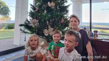 'It's the smell of Christmas': Pine scent fills homes as demand for real trees grows