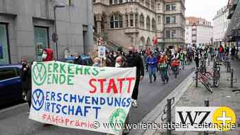 „Fridays for Future“: Klimaneutralität in Braunschweig anpacken - Wolfenbütteler Zeitung
