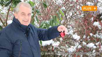 Der Mindelheimer Wetter-Experte und das Märchen von der weißen Weihnacht - Augsburger Allgemeine