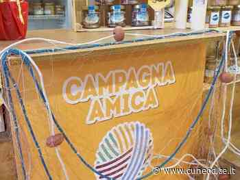 Solidarietà, Coldiretti Cuneo: a Cuneo Natale ˝buono due volte˝ con la ˝spesa sospesa˝ contadina - Cuneodice.it