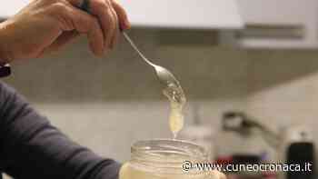 Cia Cuneo: nasce polizza per proteggere gli apicoltori dalle perdite per clima o malattie - Cuneocronaca.it