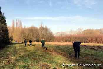 Ruim 16.000 bomen en struiken geplant om typisch Pajots landschap te versterken