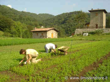 Agricoltura, etica e ambiente. Al centro l’opera scientifica di Antonio Bacarella. - Il Moderatore