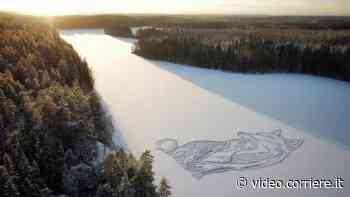 Una gigantesca volpe disegnata sul lago ghiacciato: la suggestiva opera in Finlandia - Corriere della Sera