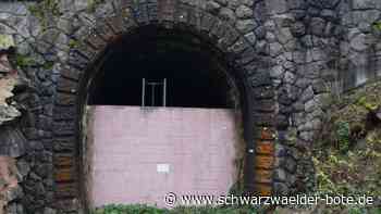 Nahverkehr Baden-Württemberg - Schiltacher Räte sehen kaum Zukunft in Bahnstrecke nach Schramberg - Schwarzwälder Bote