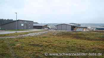 Haushalt in Aichhalden - Projektliste für 2022 ist lang - Schwarzwälder Bote