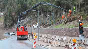 Schutzzaun ist bitter nötig - Steinschlag gerade nochmal gut gegangen - Schwarzwälder Bote