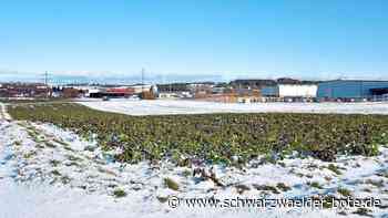 Wirtschaft in Schramberg - Gewerbeflächenbedarfsanalyse startet – Unternehmen sollen teilnehmen - Schwarzwälder Bote