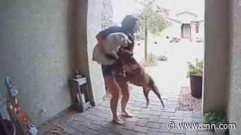 See Amazon driver's brave move when dog attacks