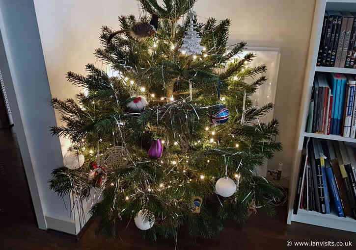London Christmas tree recycling collections 2021/22