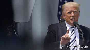 Trump evokes antisemitic tropes, says Jewish Americans 'don't like Israel'