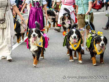 Cioccolata e cani bovari, un weekend di festa a Maranello - sassuolo2000.it - SASSUOLO NOTIZIE - SASSUOLO 2000