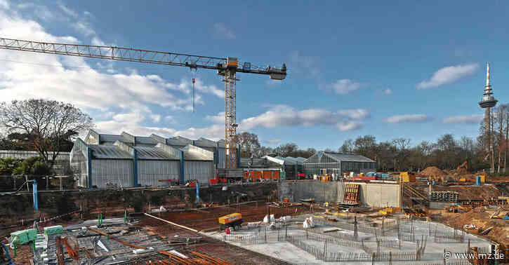 Mannheim:  Das Zentrum des Luisenparks wird neu gestaltet