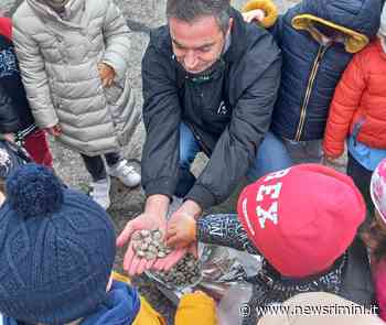 I bambini di Riccione alla scoperta delle pesca e della storia - News Rimini
