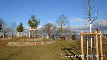 Sanierung fast abgeschlossen: Festungspark Kaiser Alexander bietet Panoramablicke - Rhein-Zeitung