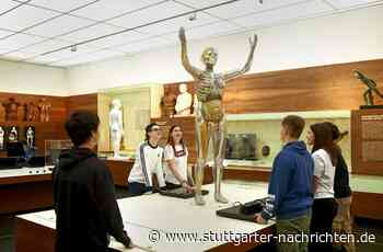 Das Deutsche Hygiene- Museum in Dresden - Sexualität und Seuchen - Stuttgarter Nachrichten