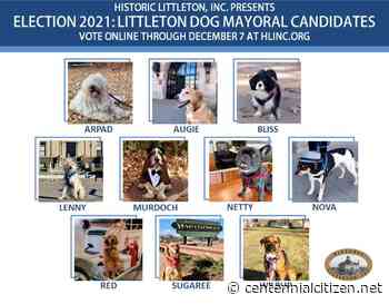 Canine candidates compete to be Littleton's next dog mayor: Election seeks to raise awareness of city's historic site's - Centennial Citizen