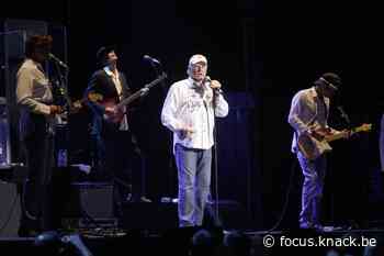 Concertreeks Casa Blanca brengt The Beach Boys naar Hemiksem - Focus Knack