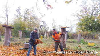 Refugium für Bienen am Nidda-Altarm | Karben - Gießener Allgemeine
