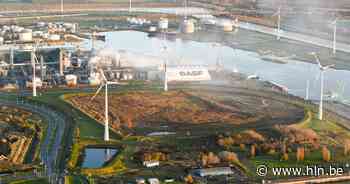 Vaccineren op werkvloer: grote Antwerpse bedrijven stappen in proefproject - Het Laatste Nieuws