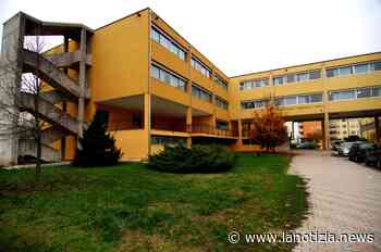 Al Da Vinci di Cerea arriva il nuovo indirizzo in Scienze Umane - La Notizia.news