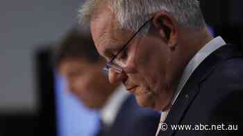 Confessions of a Liberal voter show why Scott Morrison is stuck in a self-made trap - ABC News