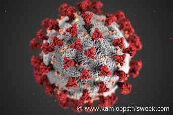 Omicron case numbers rise, but hospitalizations have not yet spiked - Kamloops This Week