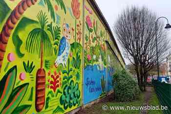 Sluikstort wordt plek voor kinderen en viervoeters met nieuwe muurschildering - Het Nieuwsblad