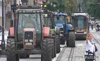 Varkensboeren trekken woensdag met tractoren naar Brussel - BRUZZ