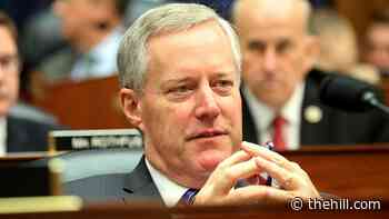 What we've learned from the Meadows documents