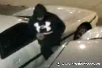 Police investigating theft of vehicle from driveway in Alliston (3 photos) - BradfordToday