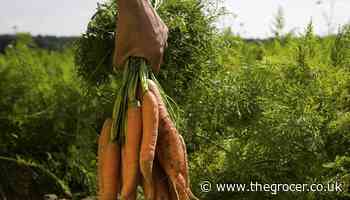 Why Covid is not a good stress test of the food supply chain's resilience - The Grocer