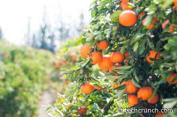 Full Harvest targets food waste by finding homes for imperfect, surplus produce - TechCrunch