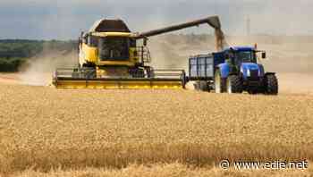Turn National Food Strategy ambitions into action, 3.8trn investor coalition urges Government - edie.net