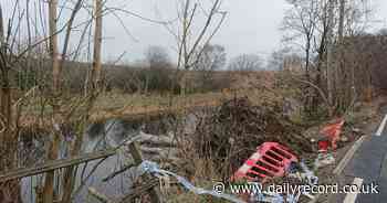 Falkirk Provost 'in despair' as danger road repair considered not urgent - Daily Record