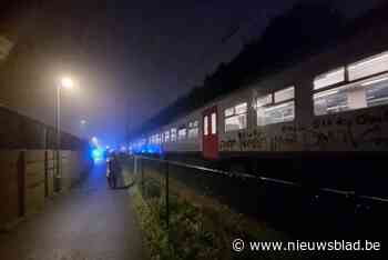 Treinverkeer tussen Puurs en Temse hersteld na aanrijding - Het Nieuwsblad