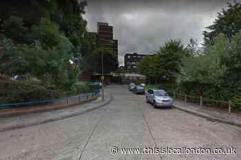 South London men in court after puppy theft