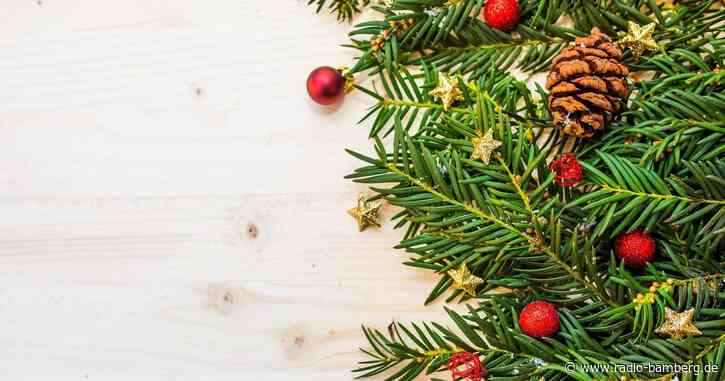 Der Christbaumverkauf geht auch in der Region Bamberg/Forchheim in die finale Phase