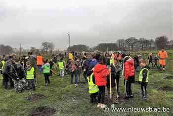 Leerlingen stedelijke basisschool De Beren planten 3000 bomen