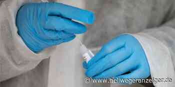 Elf Neuinfektionen in Ascheberg - Fast jedes zweite Intensivbett mit Corona-Patient belegt - Hellweger Anzeiger