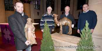 Rätsel um das verschwundene Kamel aus der Sankt-Peter-Krippe in Waltrop - Waltroper Zeitung