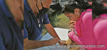 Cierran vacunación antirrábica en Cuernavaca - Diario de Morelos